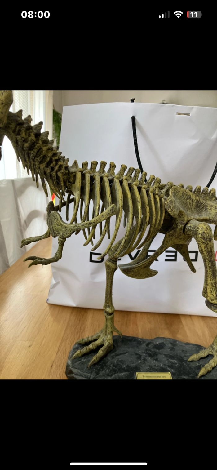 Squelette tyrannosaurus Rex - photo numéro 4