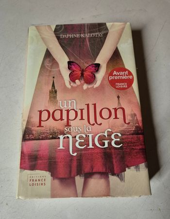 Roman un papillon sous la neige Daphné kalotay