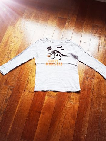 Tee shirt manches longues dinosaure