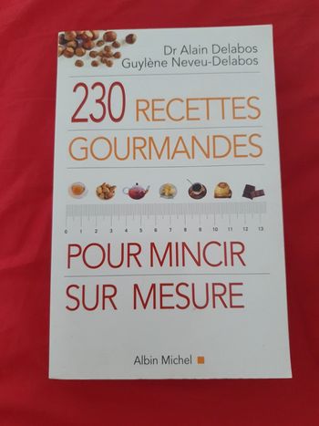 230 recettes gourmandes pour mincir sur mesure