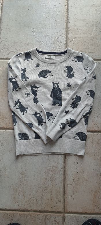 Pull animaux 8 ans