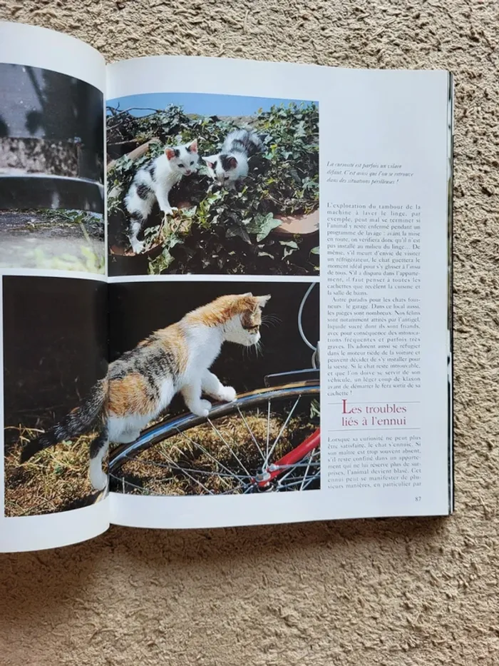 Livre "Les chats, comportement et caractères" - Éditions Atlas - photo numéro 9
