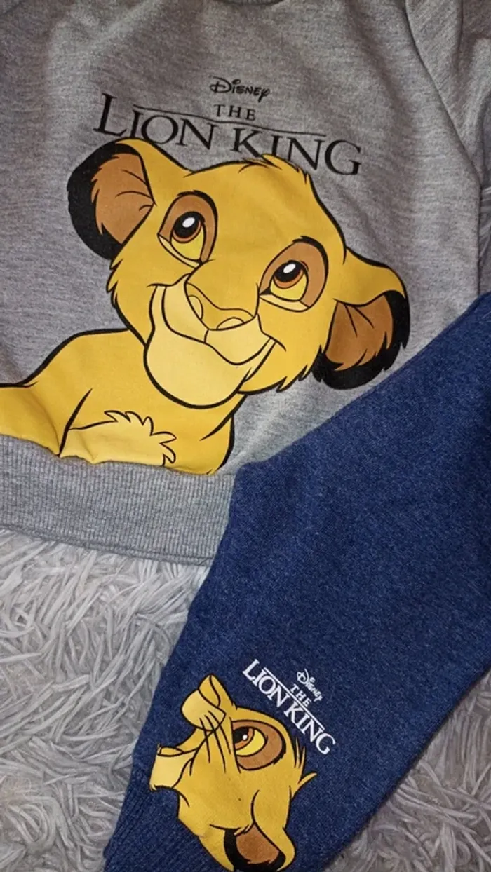 Ensemble roi lion 🦁 - photo numéro 2