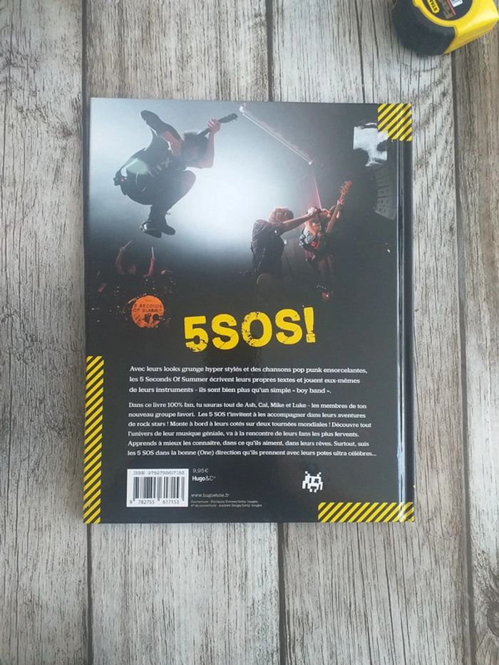Livre sur les 5 seconds of summer - photo numéro 3