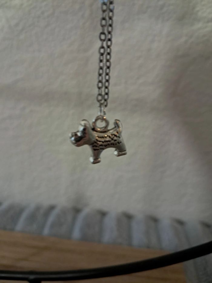 Collier chien