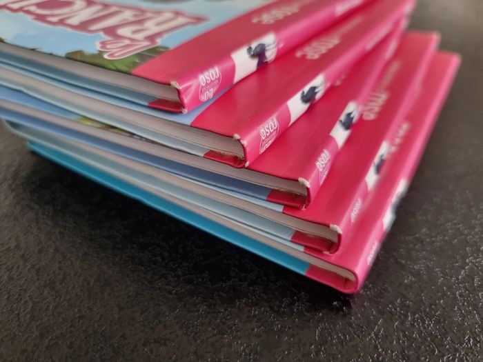 Lot de 5 livres "Le Ranch" - photo numéro 8