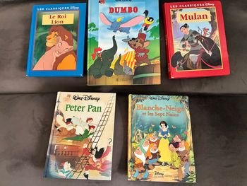 Lot 5  livres disney 