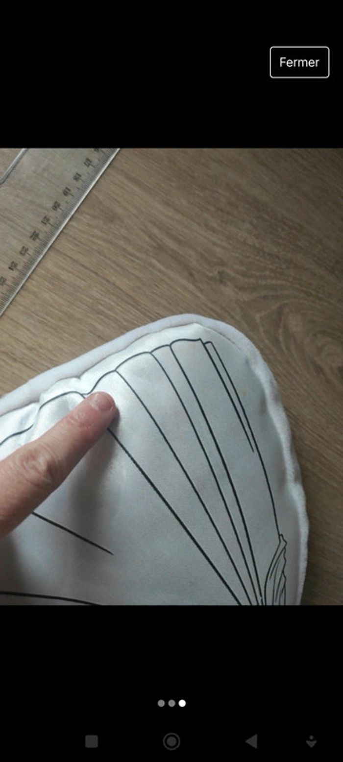 Coussin princesse a colorier - photo numéro 3