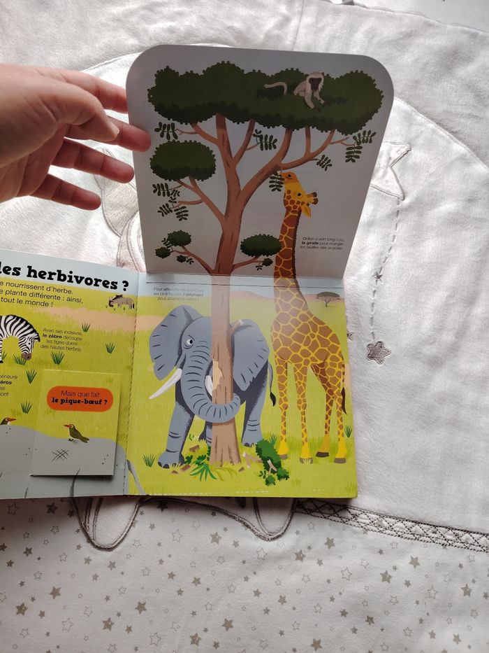 Livre animaux de la savane - photo numéro 4