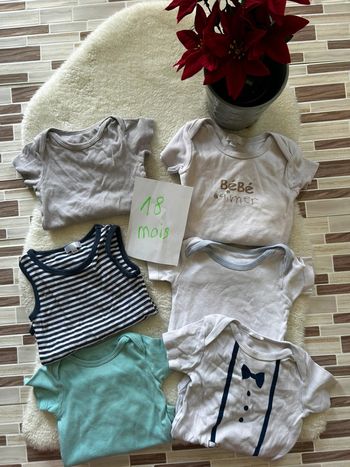 Lot de 6 bodies ~ 18 mois