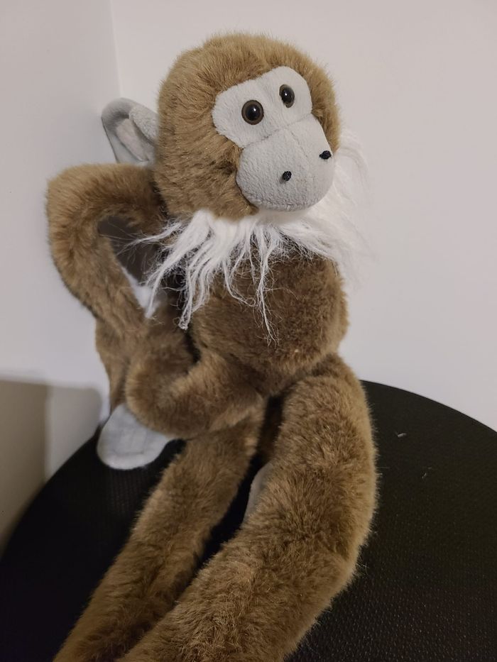 singe - photo numéro 3