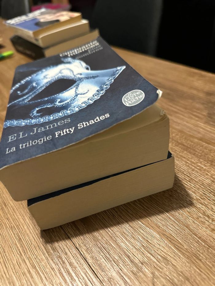 Livre cinquante nuances de grey - photo numéro 6