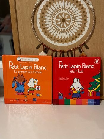 2 livres petit lapin blanc le premier jour d’école fête Noël 