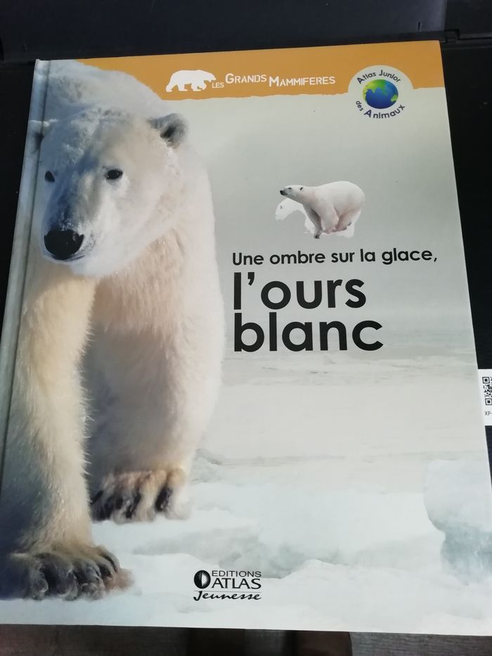 lot 3 Atlas junior des animaux dinosaures,rapaces,ours blanc - photo numéro 2