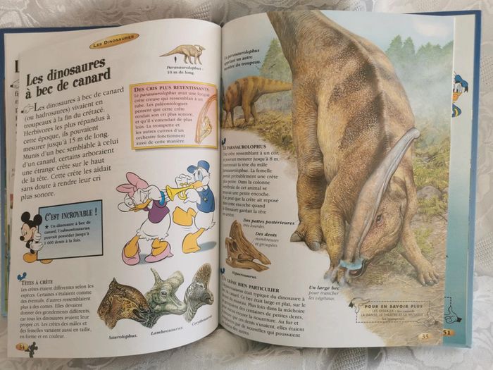 Le monde merveilleux de la connaissance – Les dinosaures (Disney) - photo numéro 5