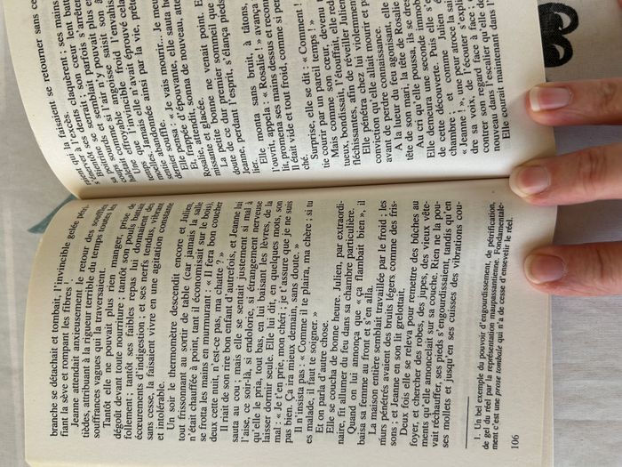 Une vie de Maupassant - photo numéro 3