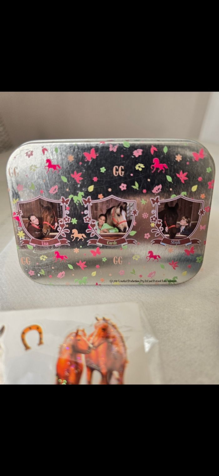 Boîte-figurine et stickers chevaux - photo numéro 7