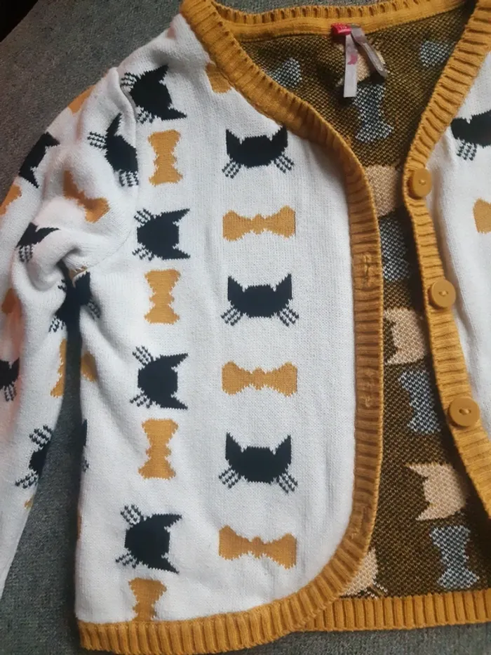 Gilet chat - photo numéro 4
