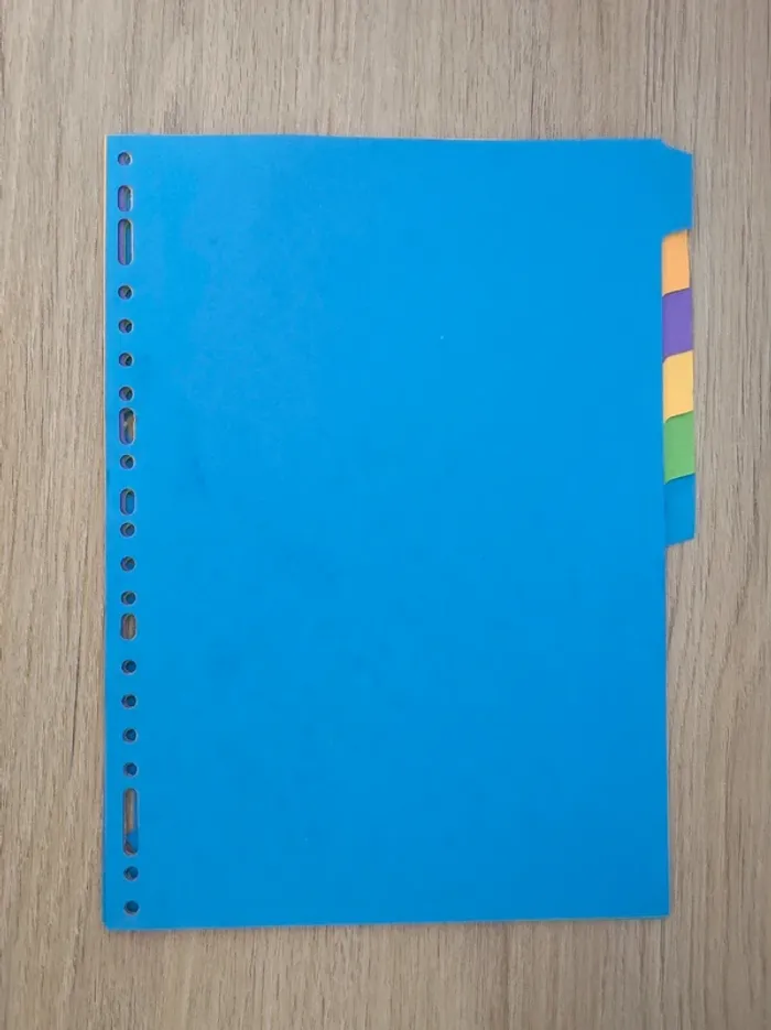 Lot 5 intercalaires carton / Lyreco - A4 Maxi