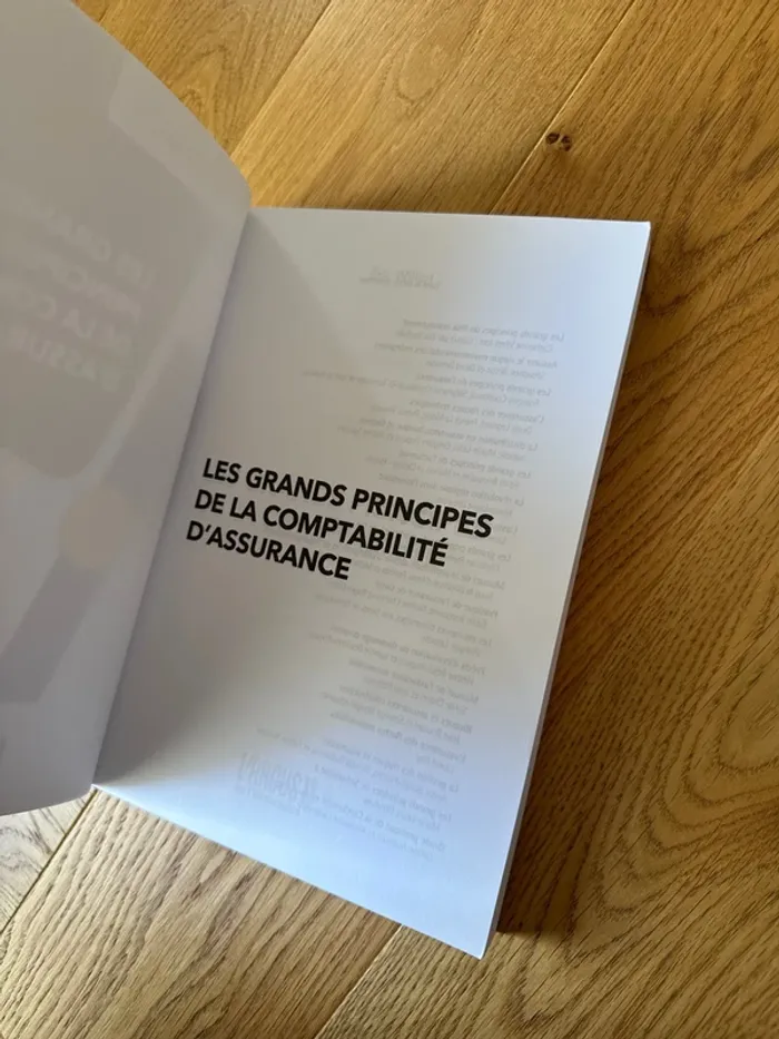 Livre les grands principes de la comptabilité d’assurance - photo numéro 5