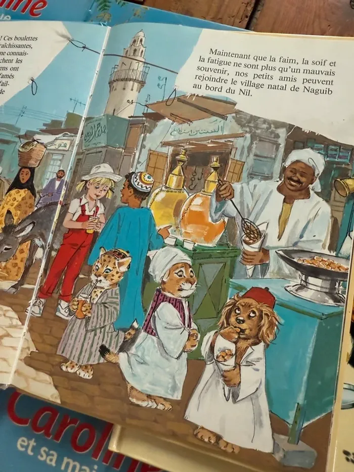 État très bon - Bord jaune - Lot de 16 livres bd albums Caroline Pierre Probst - photo numéro 8