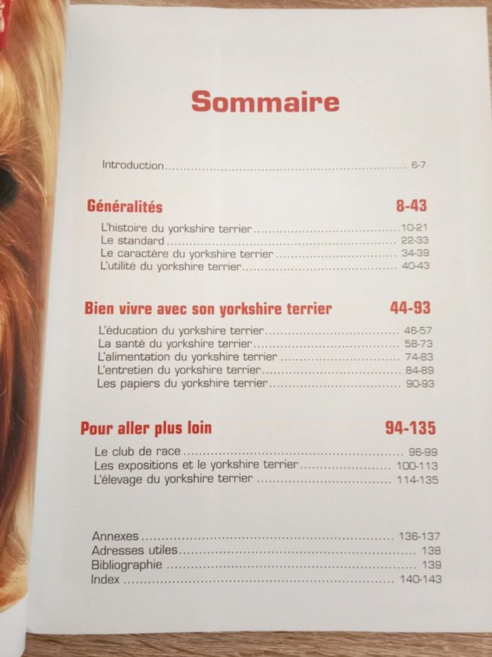 Alain Bobek 🪅 Le Yorkshire Terrier - photo numéro 3