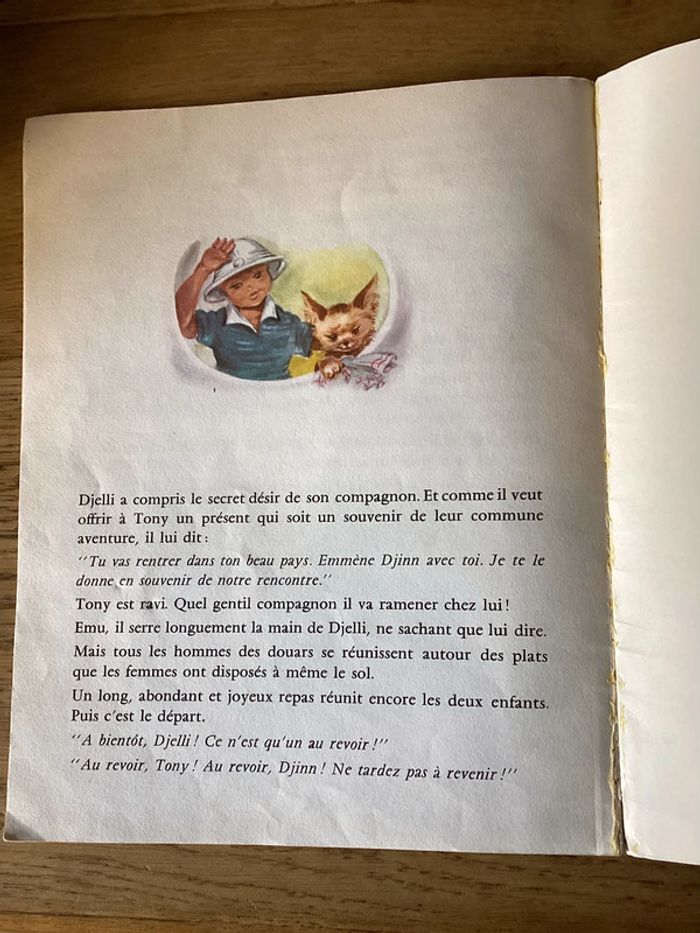 Livre « Djinn des sables » - photo numéro 5