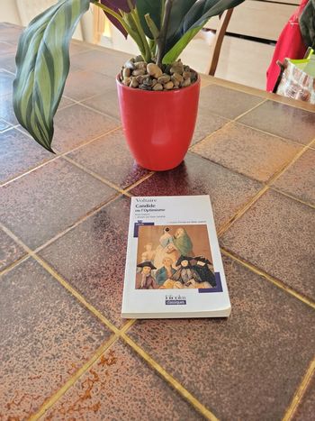 Candide ou l'optimisme