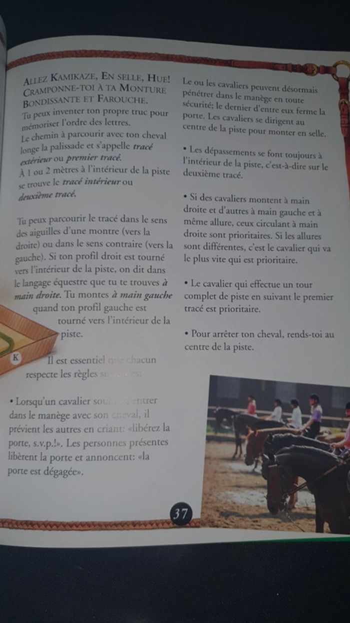 Mon livre d'equitation - photo numéro 5