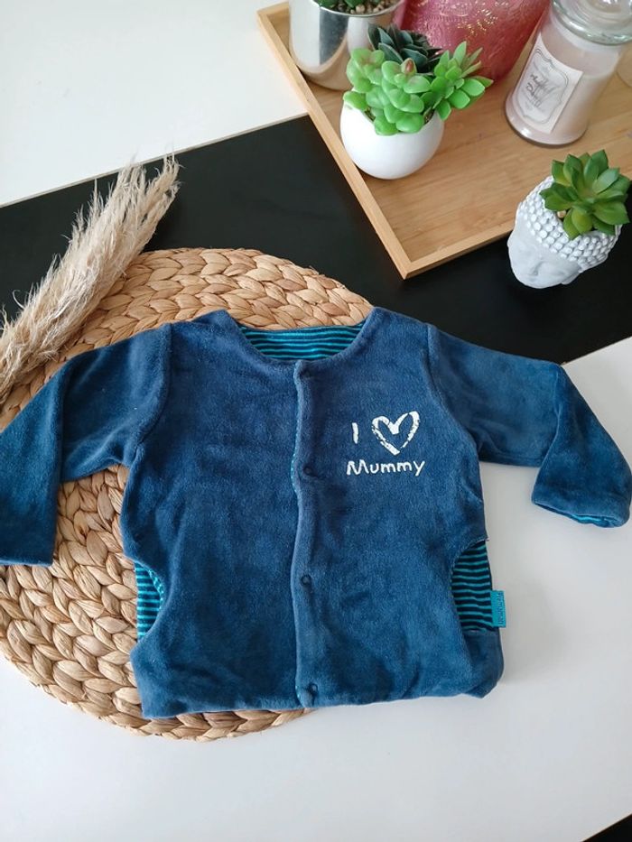 Veste polaire garçon Premaman Taille 9 Mois🌿🦁 - photo numéro 5