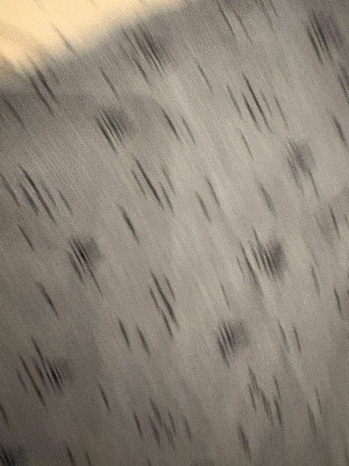 Lot de 2 polos manches courtes - photo numéro 2