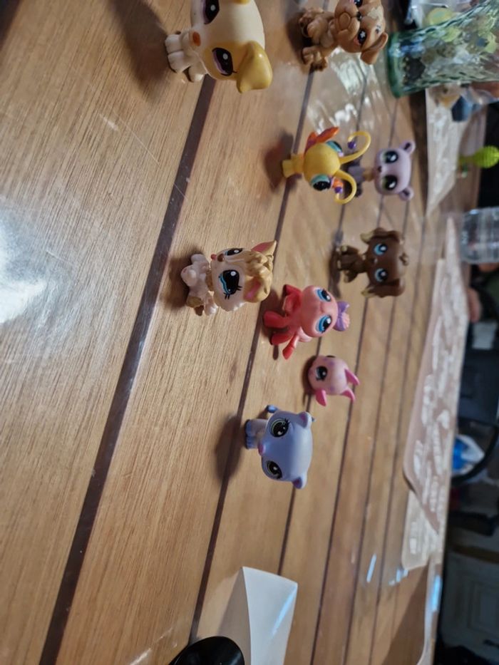 Lot petshop (7) - photo numéro 14