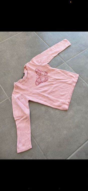 Pull papilion In extenso 4 ans