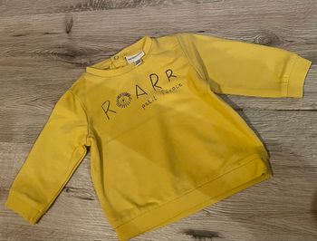 Sweat-shirt lion