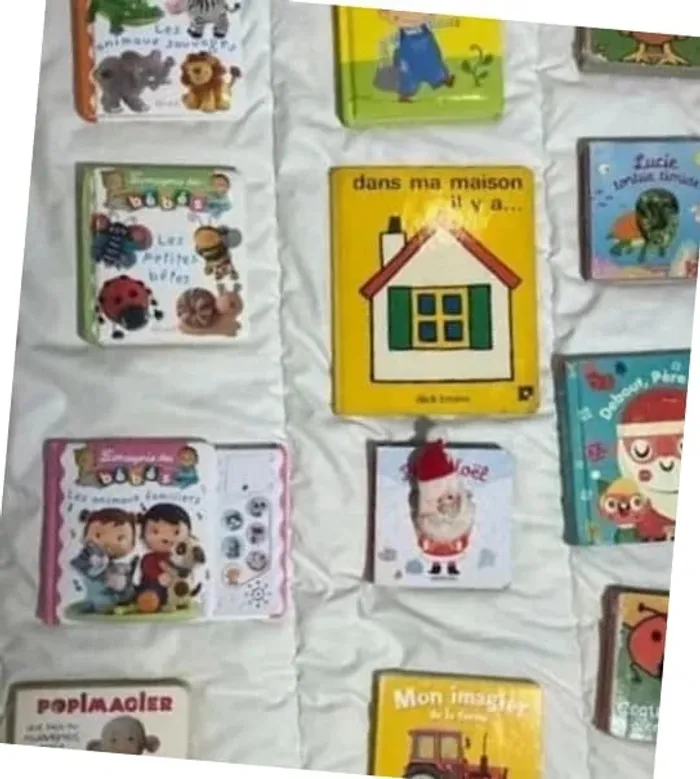 Lot de livres imagiers bébés