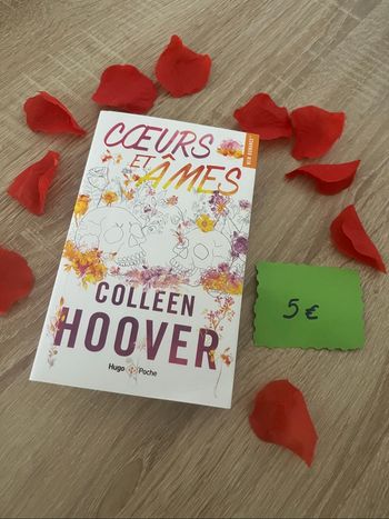• Livre Colleen Hoover • Cœurs et âmes • tres bon état
