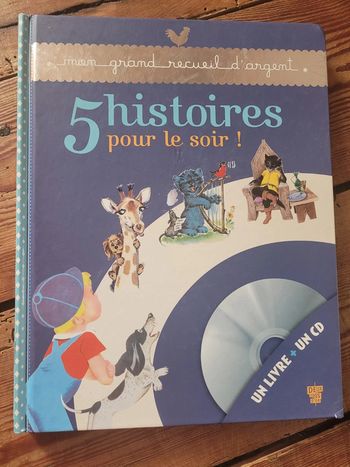 Livre Mon grand recueil d'argent 5 histoires pour le soir Pierre Probst