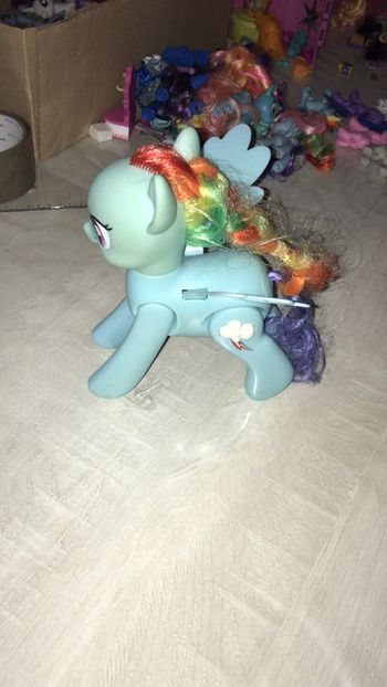 Rainbowdash