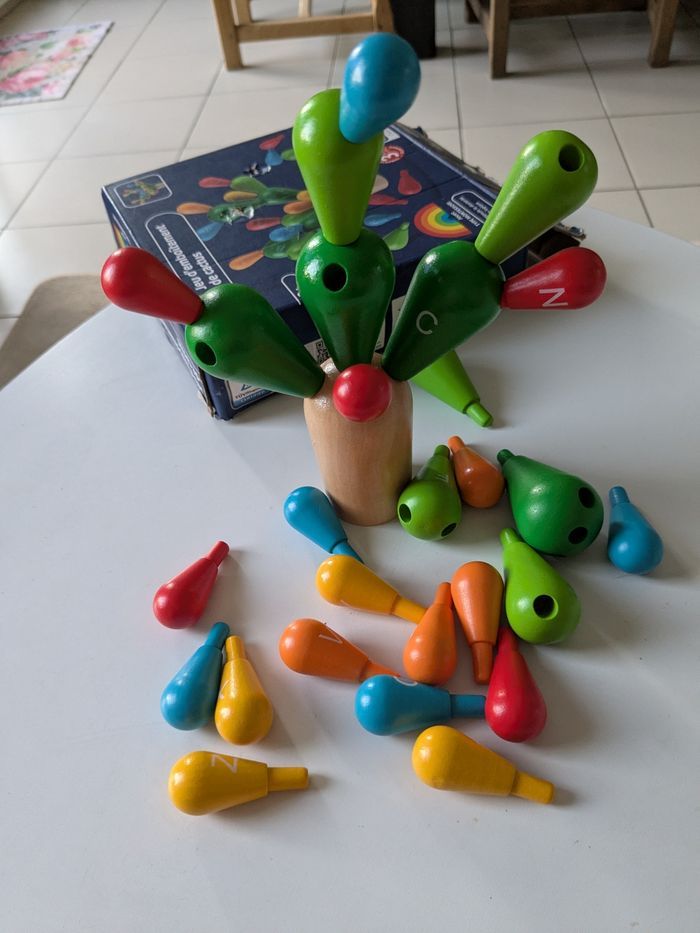 Jeu d'emboîtement de cactus