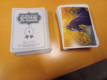 Lot de 10 images Panini Les plus beaux Chevaux du monde