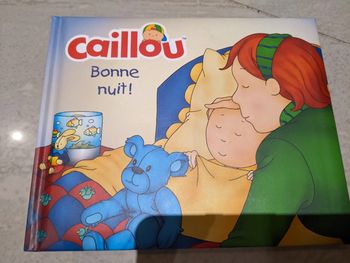 Livre caillou . Neuf