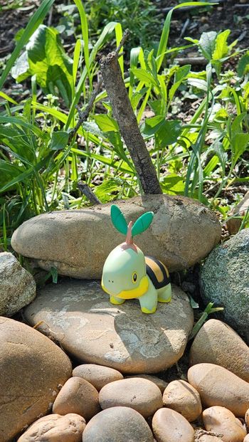 Super figurine Pokemon Nintendo tortipouss