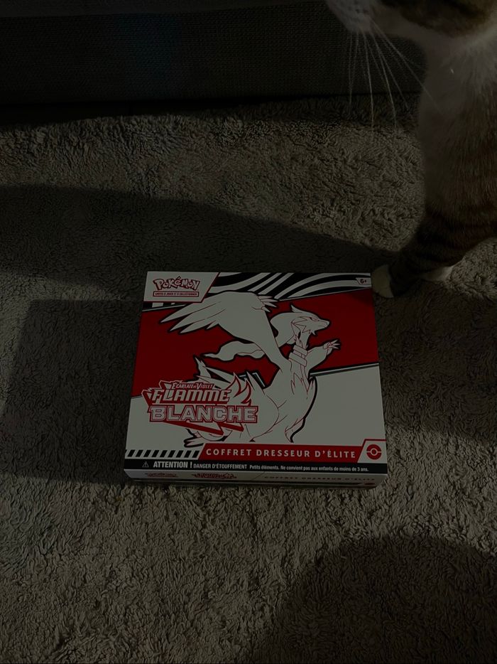 etb flamme blanche