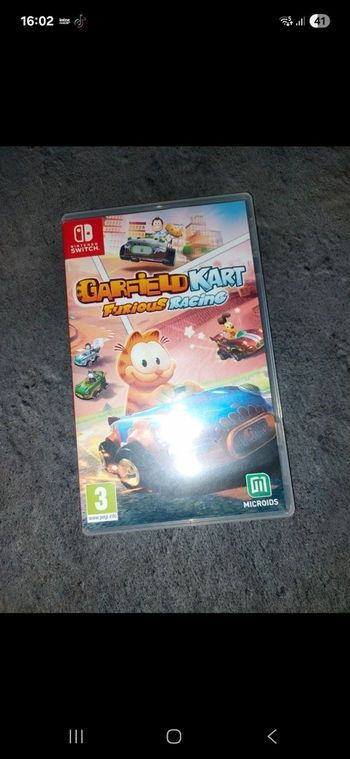 Jeu switch garfield 