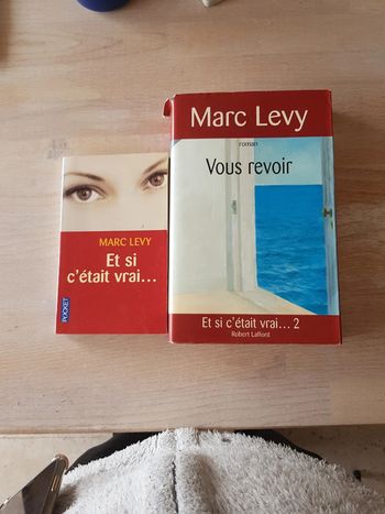 lot de 2 livres Levy
