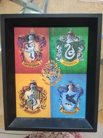 Cadre 3d harry potter