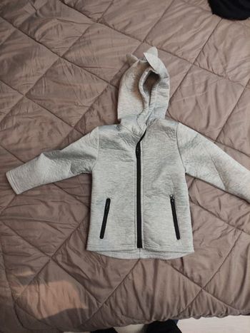 Veste neuve dinosaure