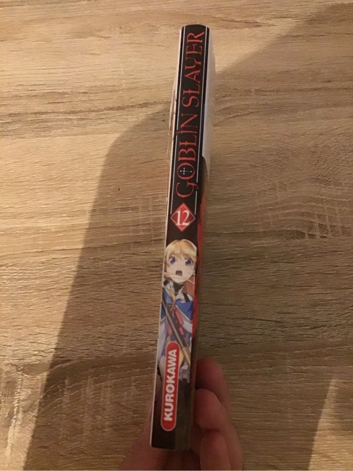 Manga Goblin Slayer Tome 12 très bon état collection livre - photo numéro 3