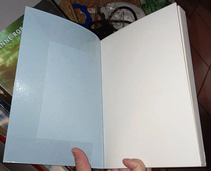 Roman d'amour ''Les débutants '' - photo numéro 4