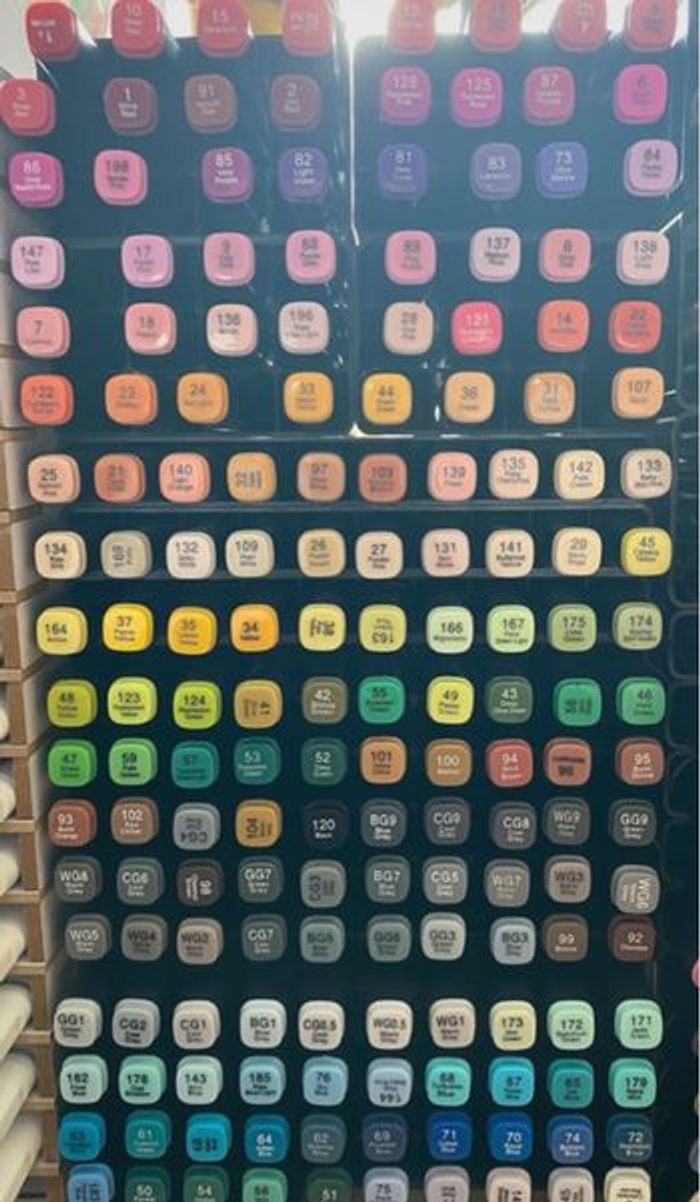 Marqueurs à alcool et rangement neufs